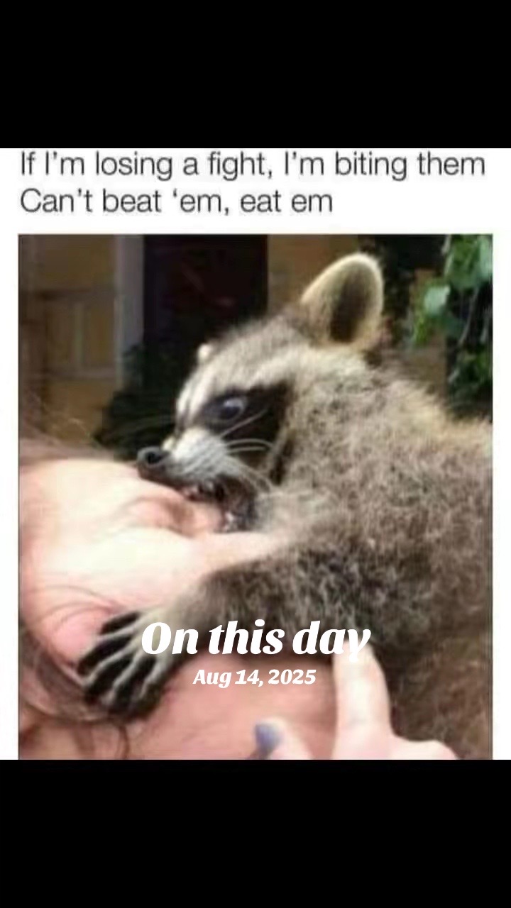 @Meme King