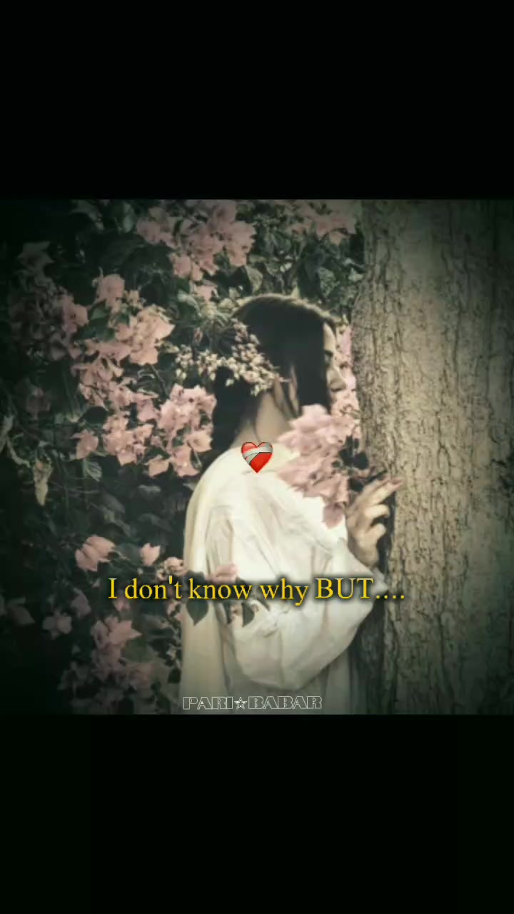 @𓆩♡𓆪 𝓟𝓪𝓻𝓲𝓑𝓪𝓫𝓪𝓻 𓆩♡𓆪