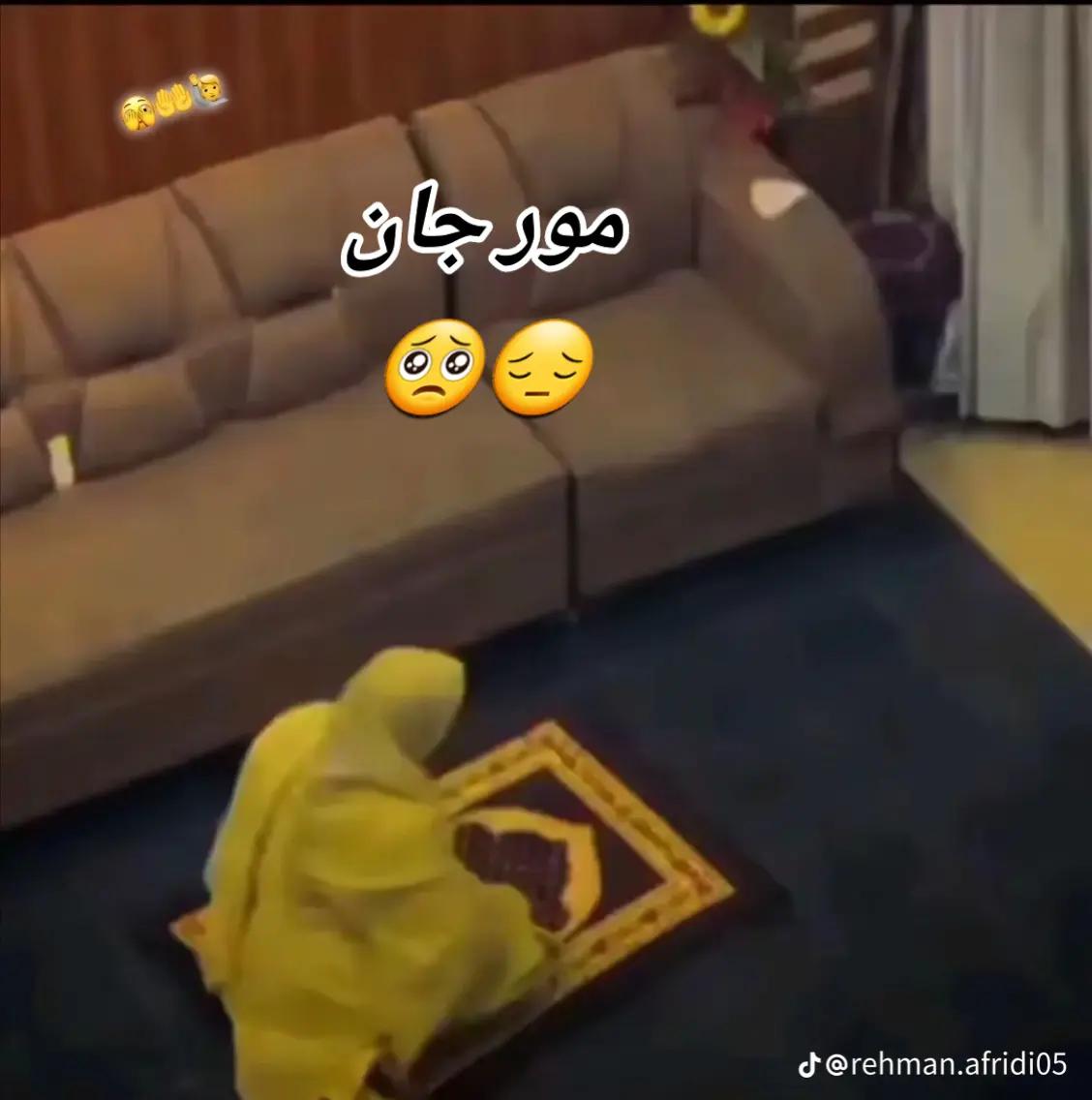 @salarzai.