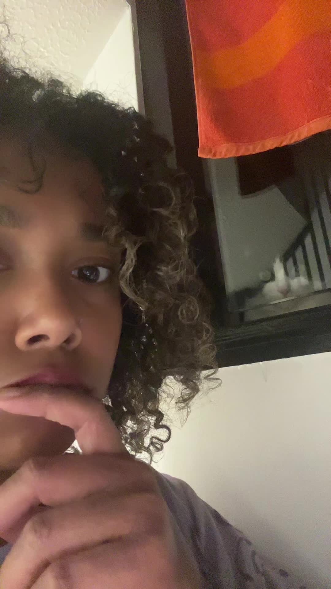 @spaghet_bolognese