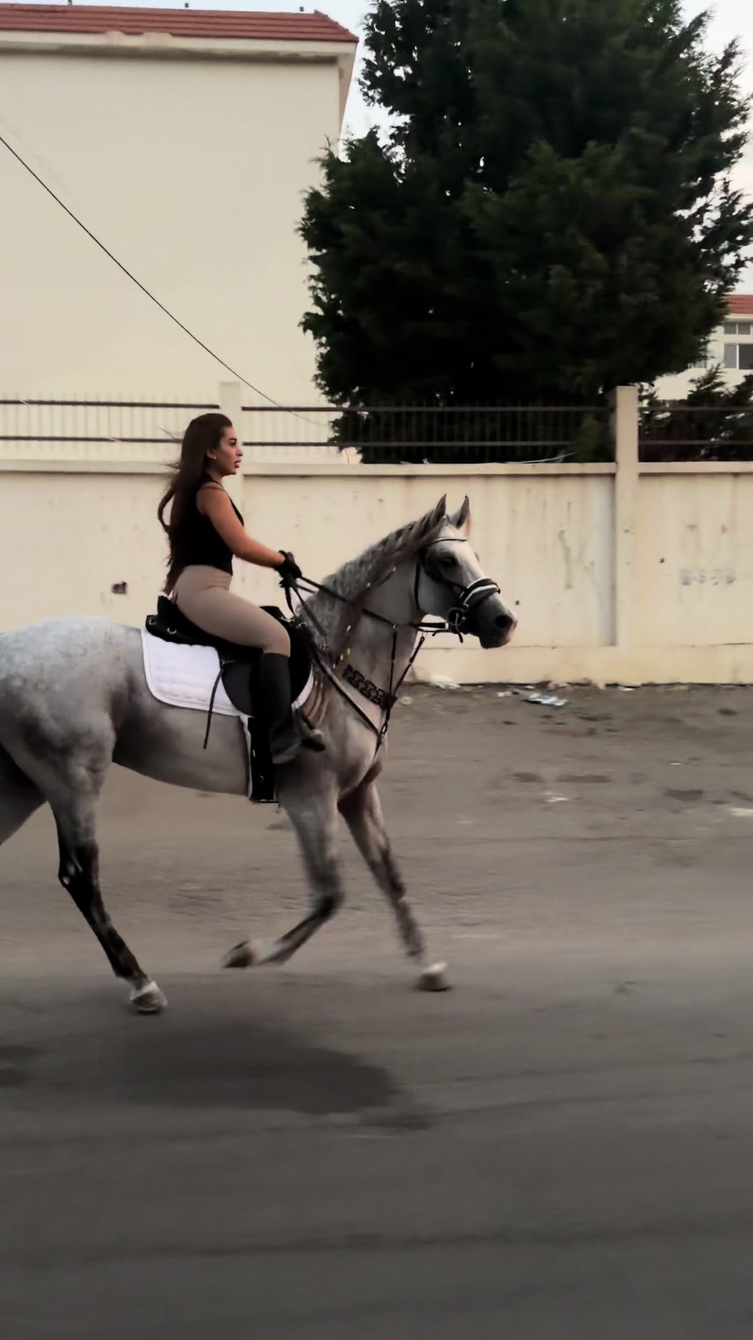 @لــيــن🐎