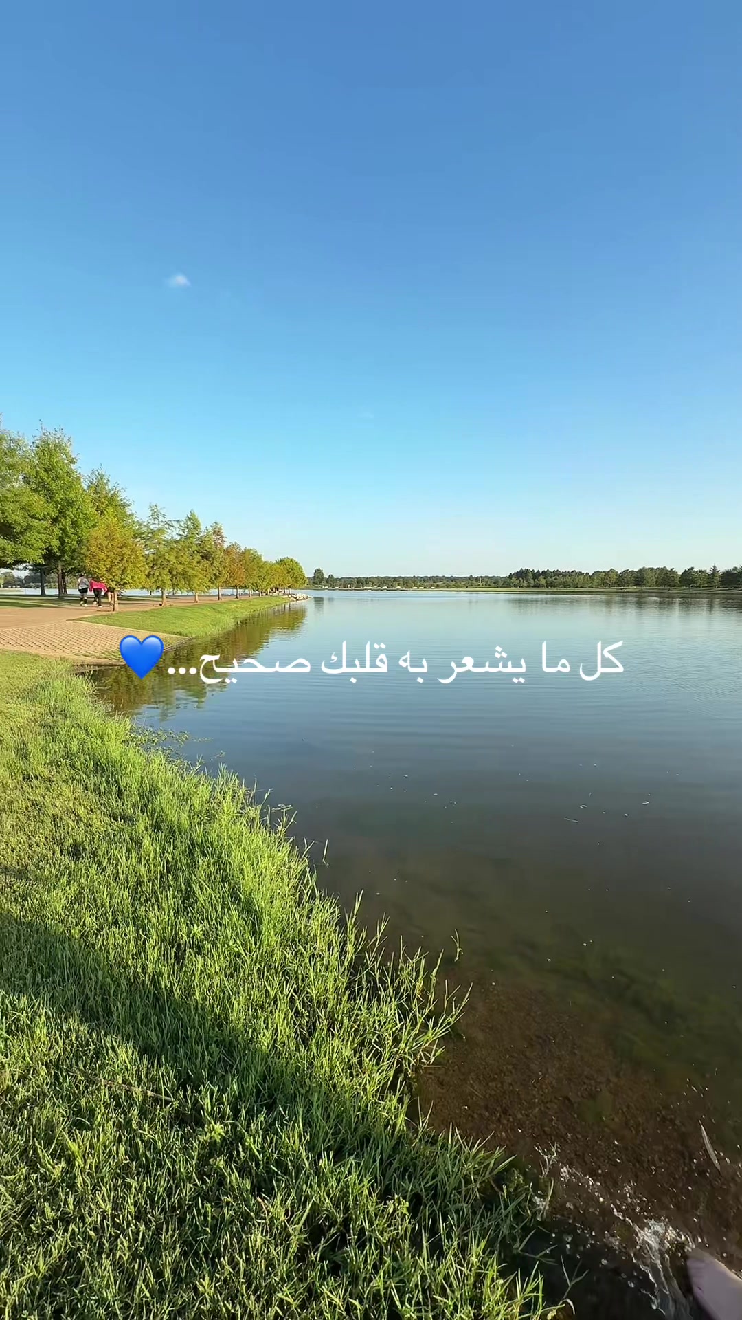 @Rosa Nabali