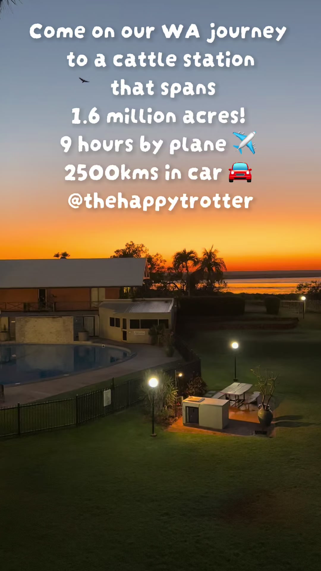 @Happy Trotter
