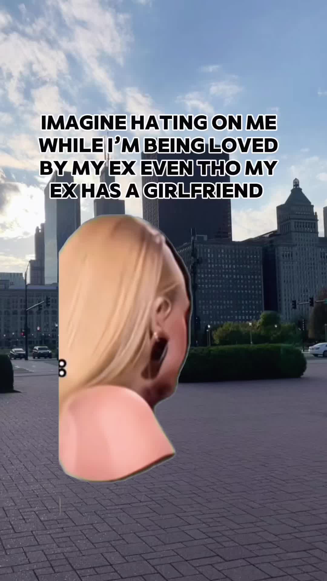 @chicagoviews312