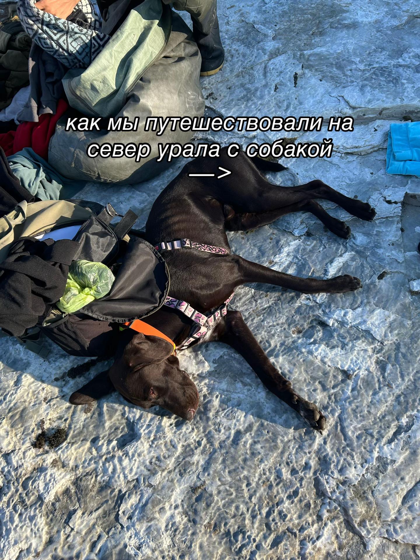 @тг: кармаша это; ТАТУ ОМСК