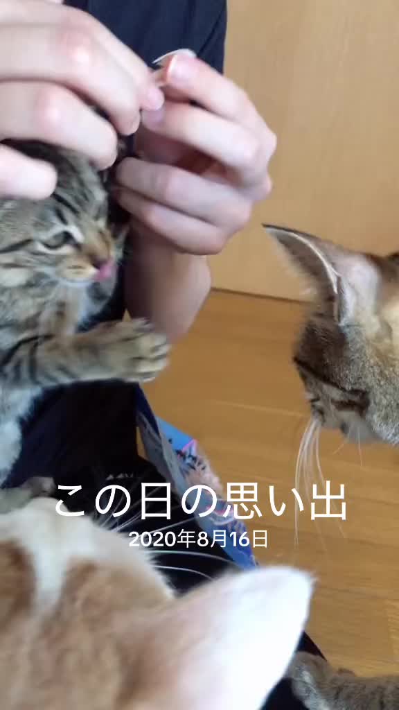 @♪♪ナォ♪♪