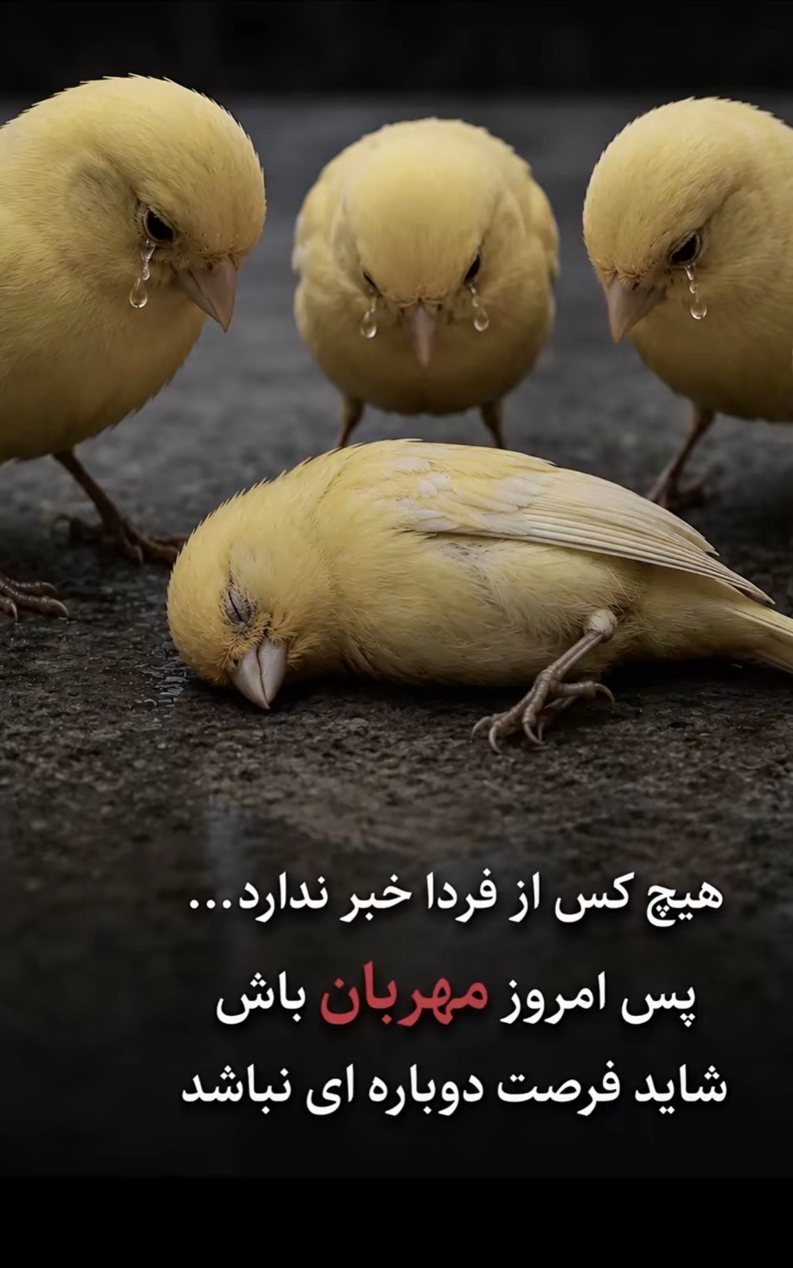 @🇺🇸Kamela🇦🇫
