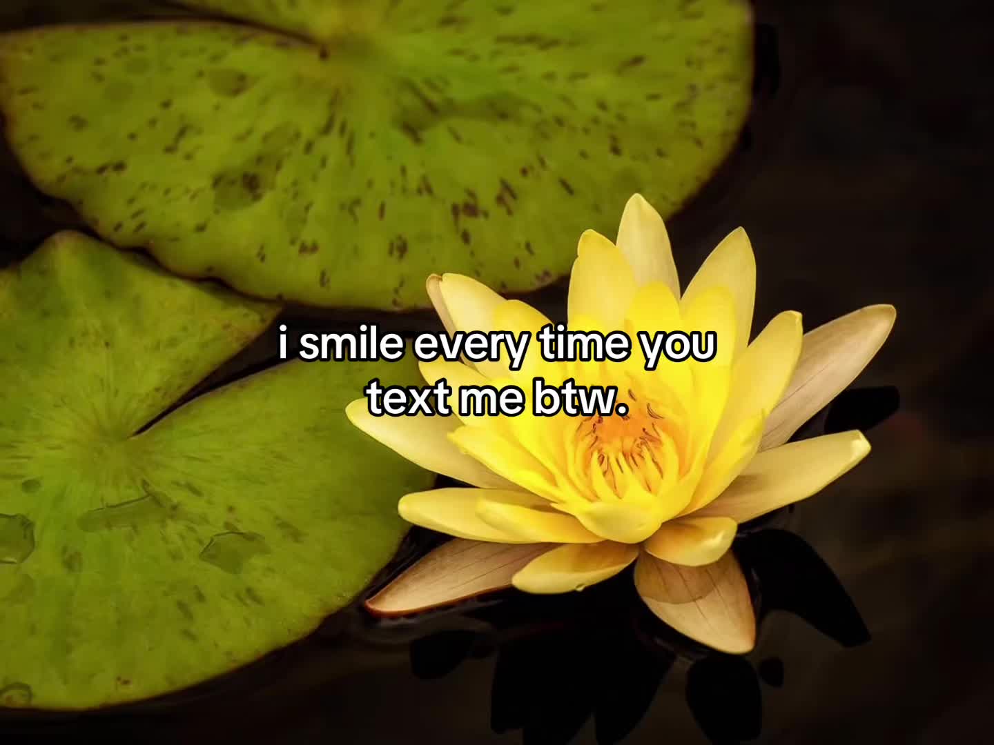 @flowercorrre