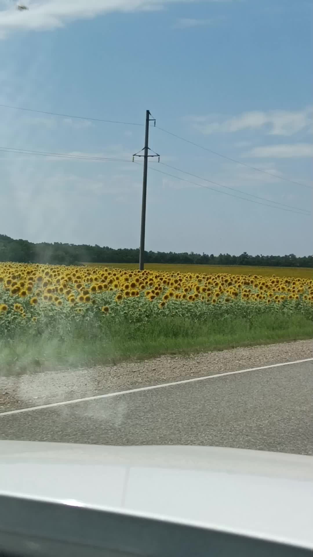 @Ольга