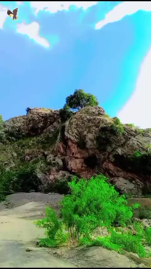 @°_°