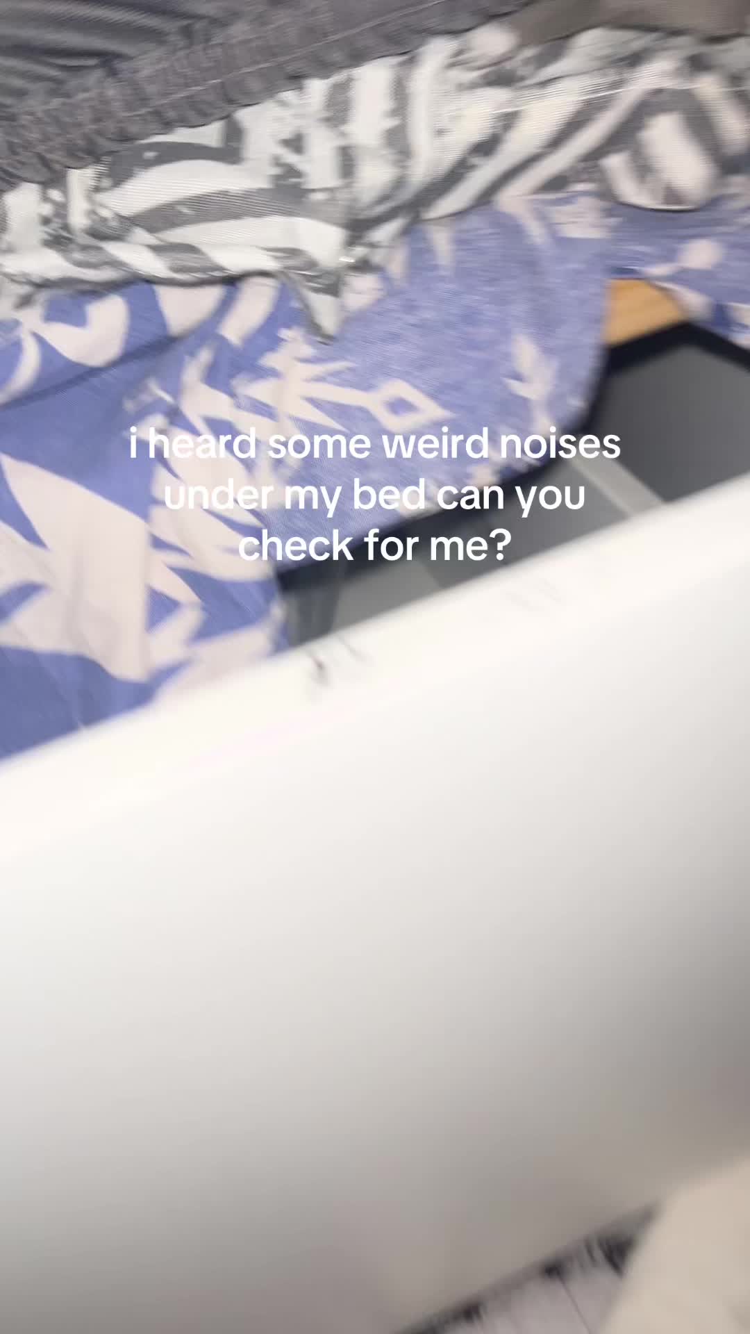 @𝑹𝒆𝒏🪽