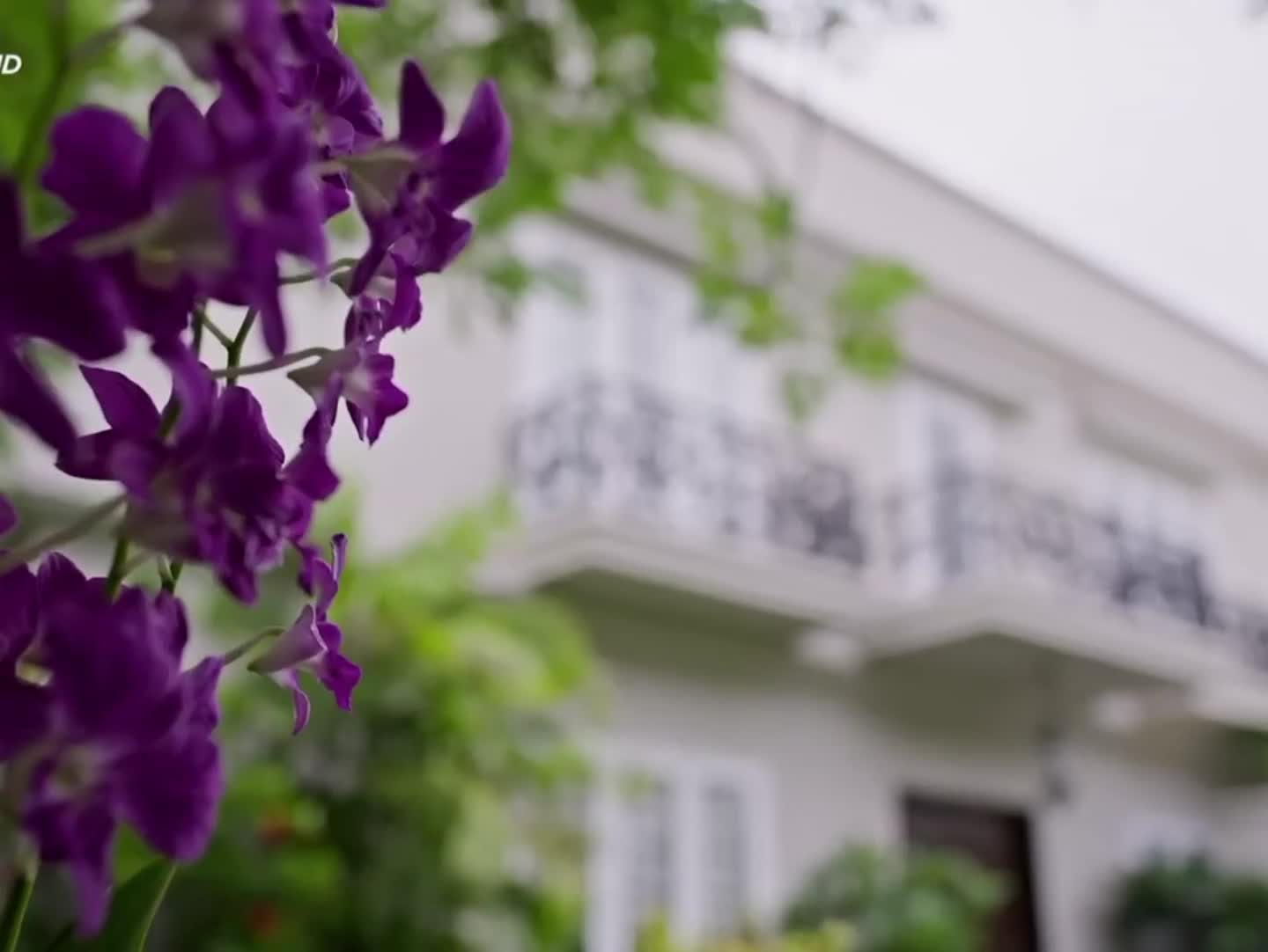 @𝐃𝐀𝐖𝐎𝐎𝐃 ⦁_⦁🇪𝐃𝐈𝐓𝐒⃝🥀