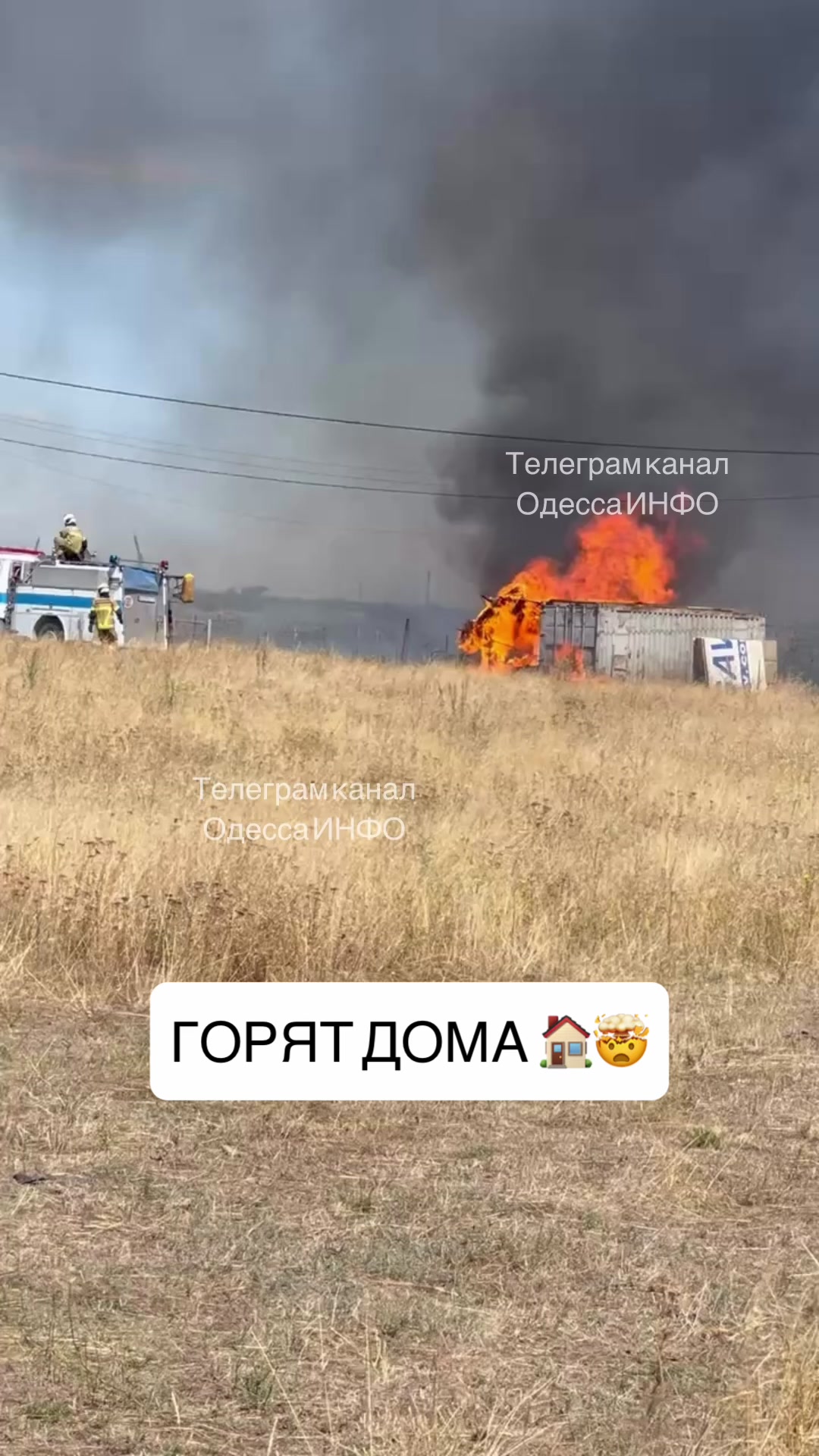 @ODESSA INFO