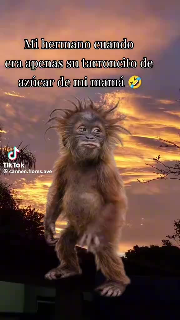 @arely🥰❤️