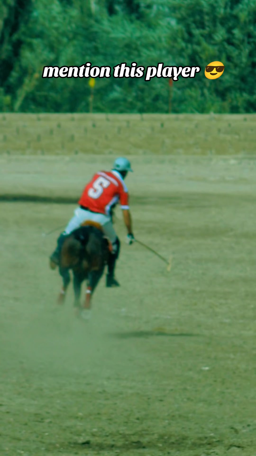 @️POLO ARCHIVE 👀🐴
