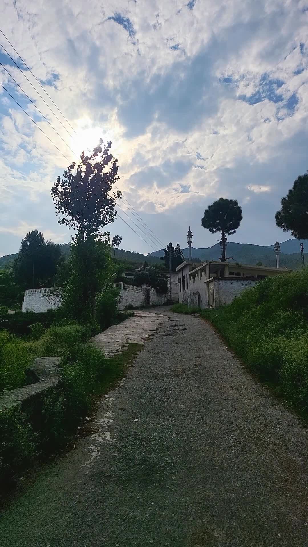 @ده کلی ژوند