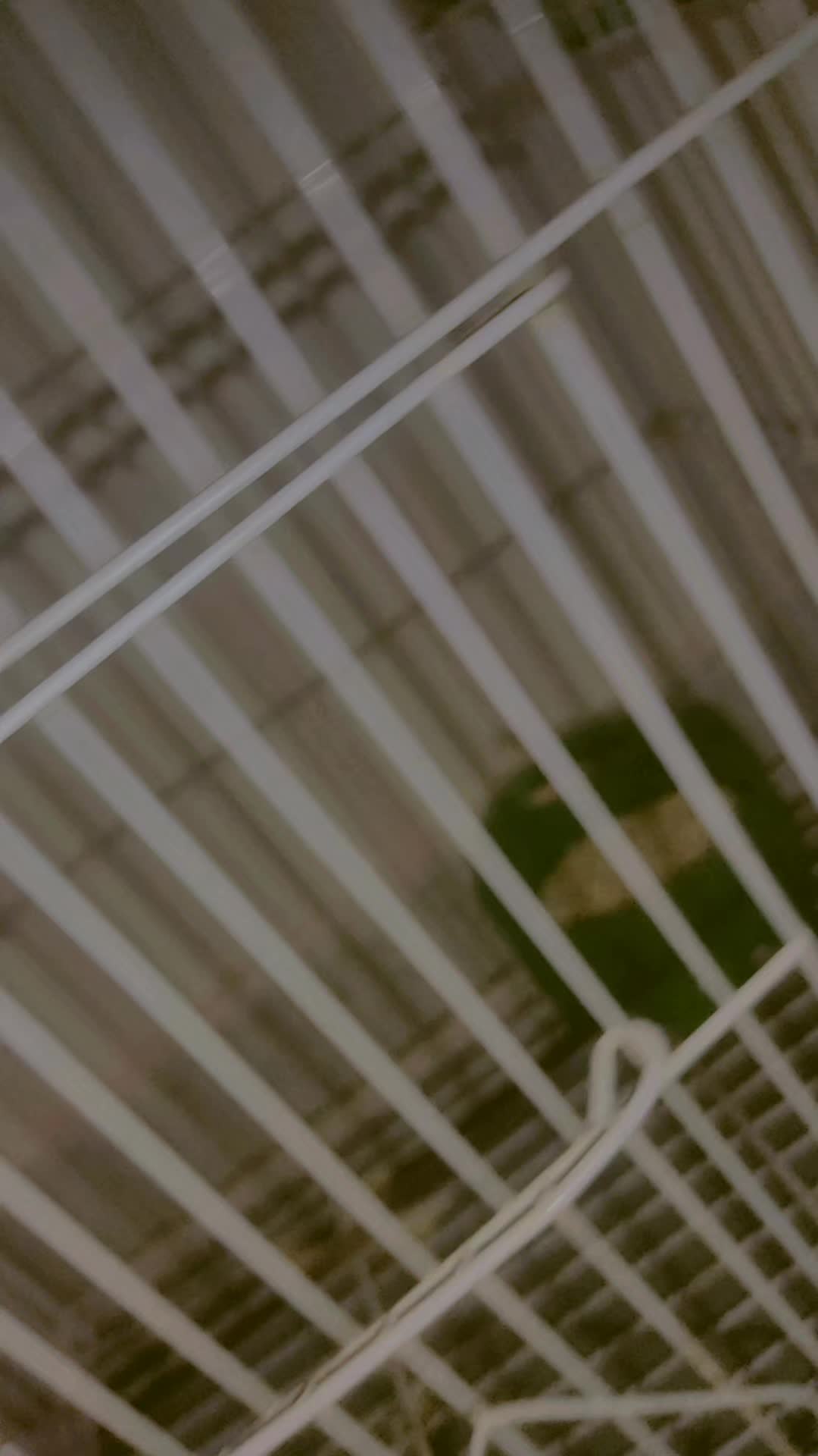 @👻 Man&otilde; 💗