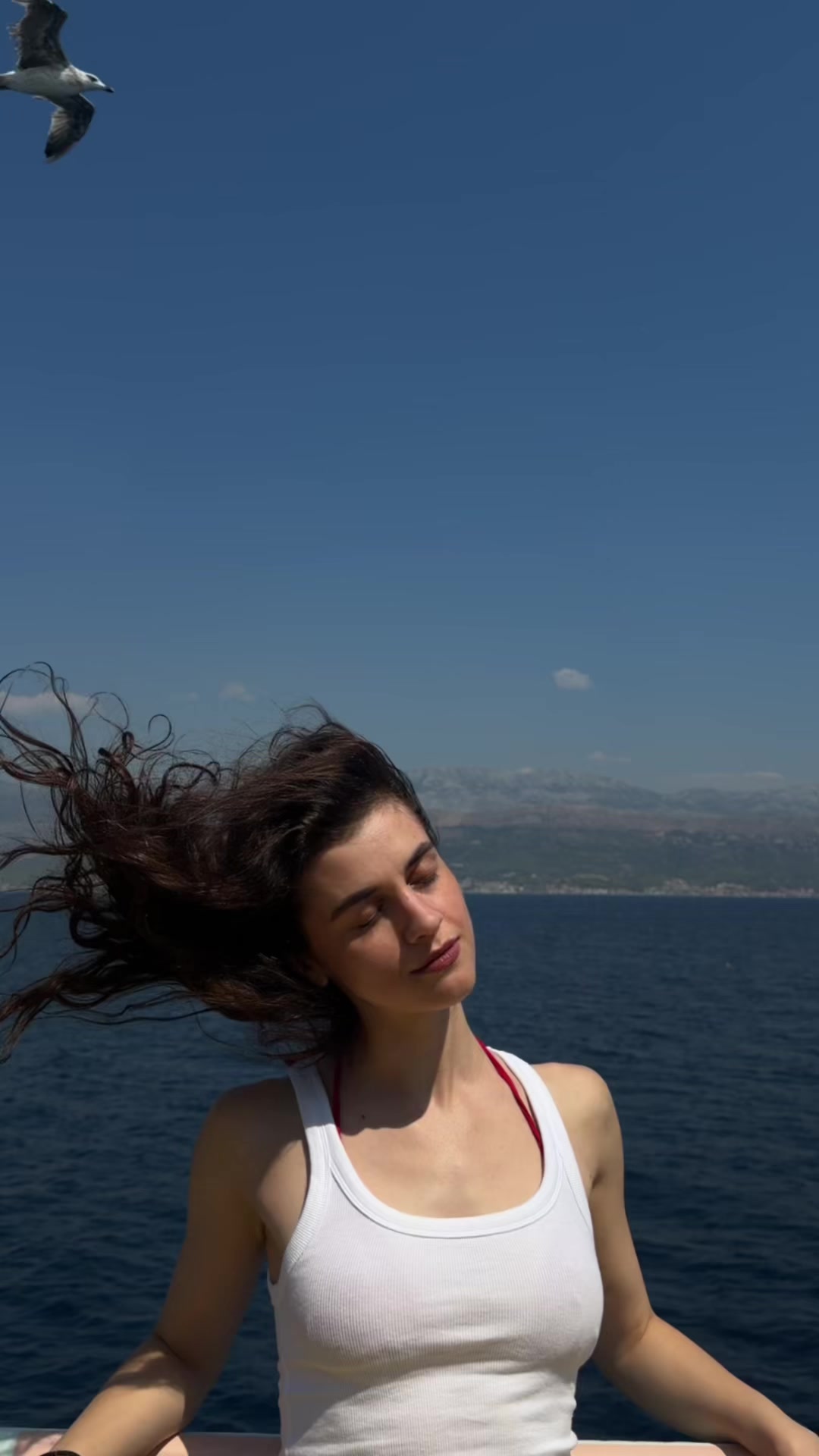 @tellynata