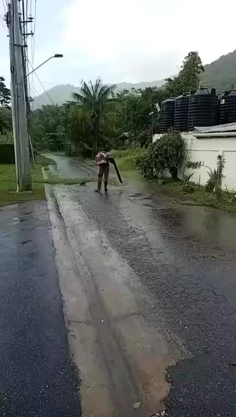 @Island prime services 🇹🇹