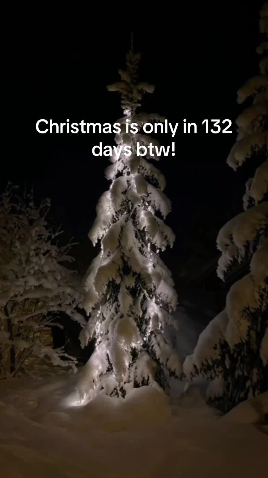@christmas vibes!