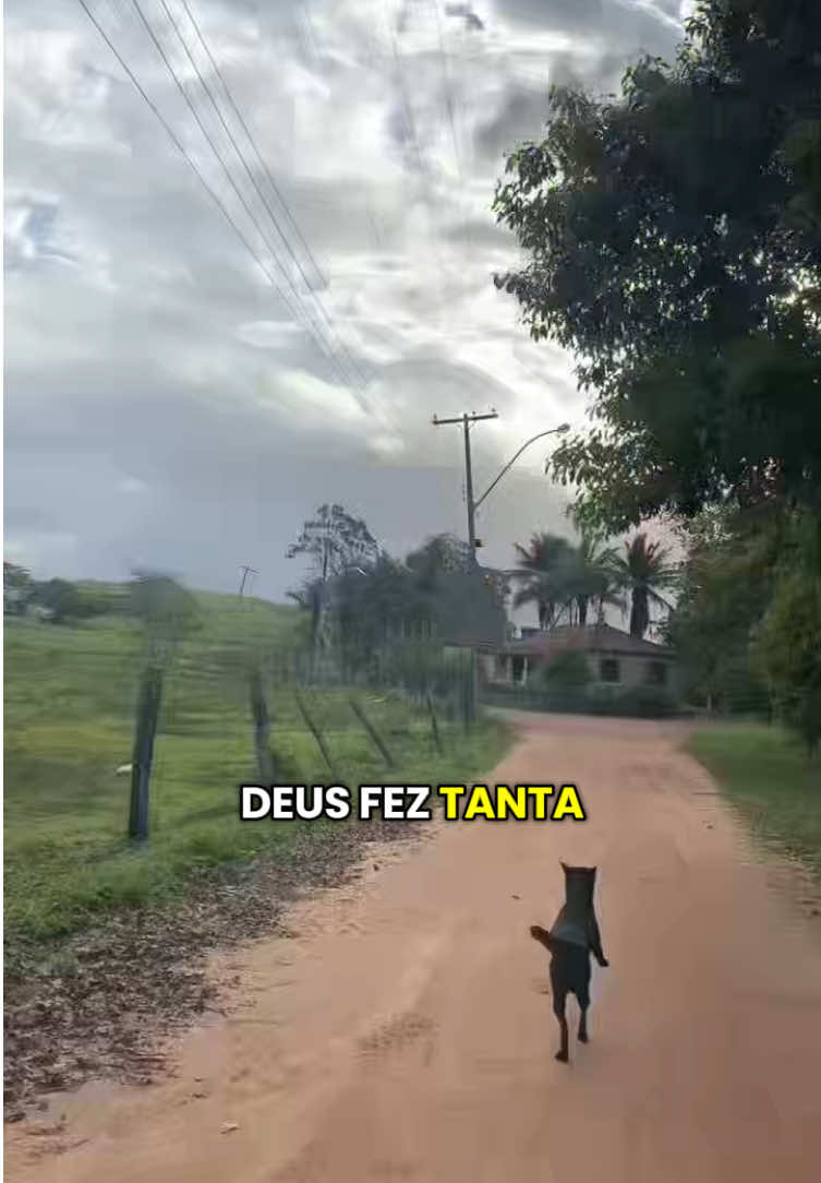 @Rosiani Sá Freire