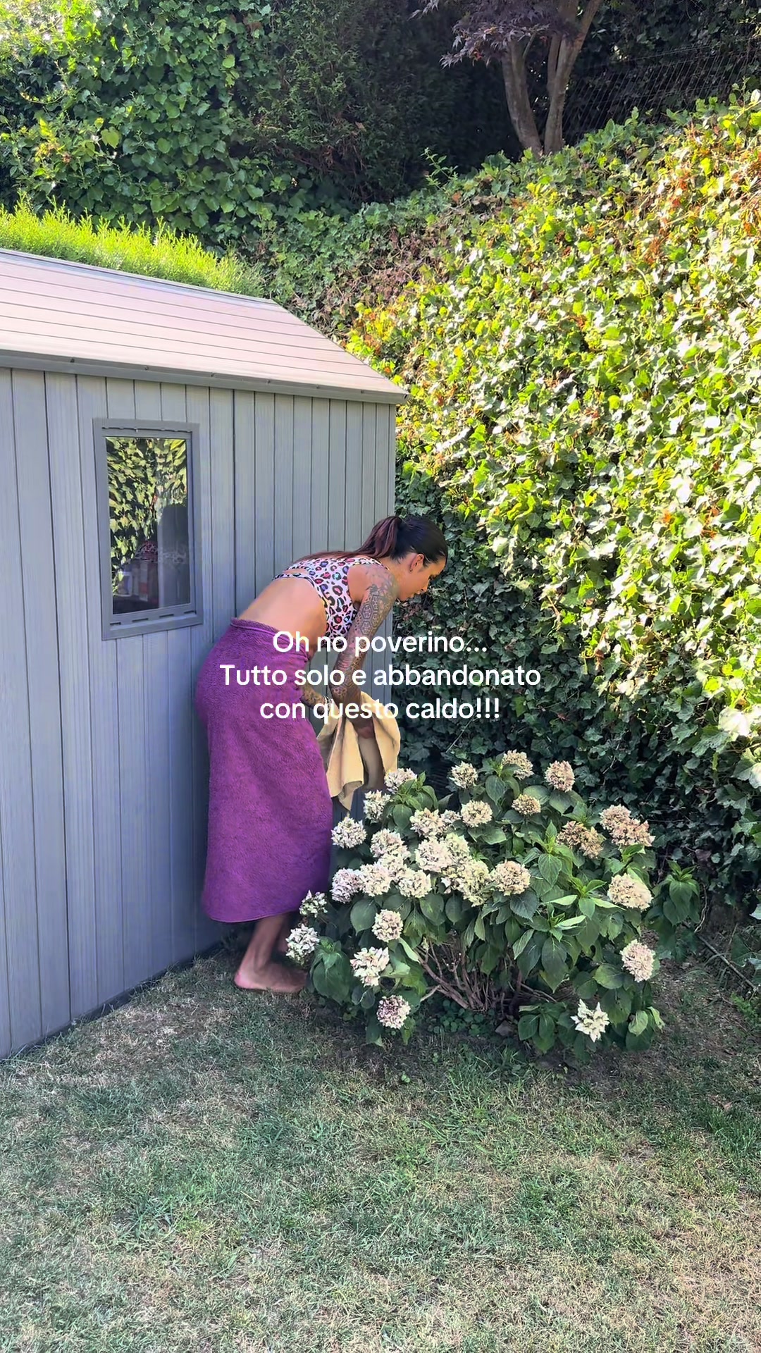 @Dott.ssa Silene Pretto