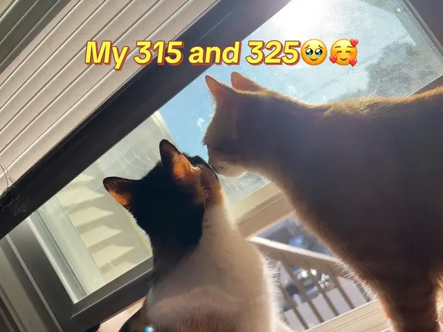@Ari🍒🐅
