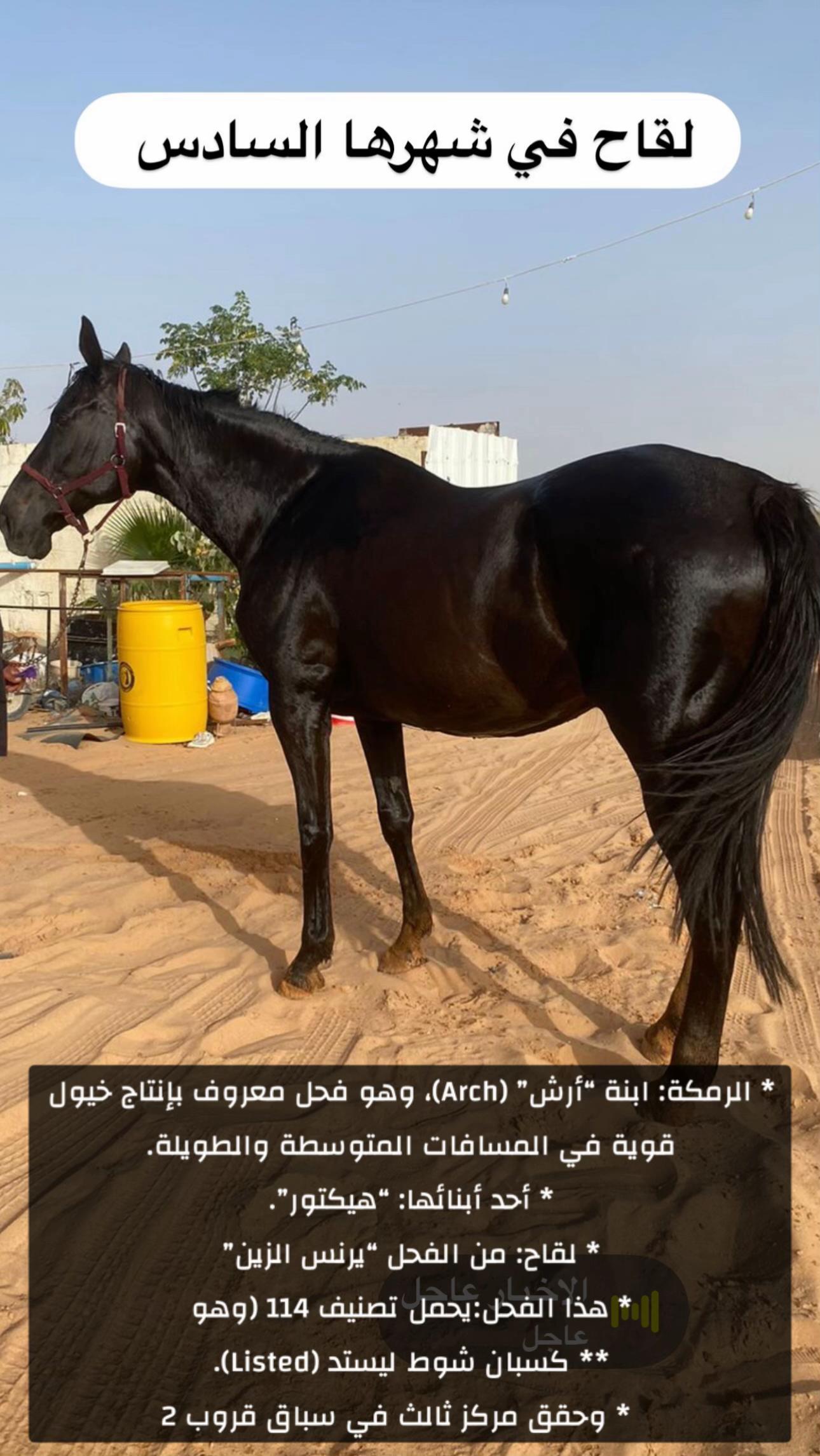 @ابوخالد