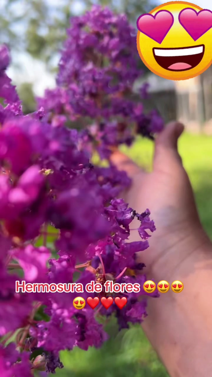 @Mariposita