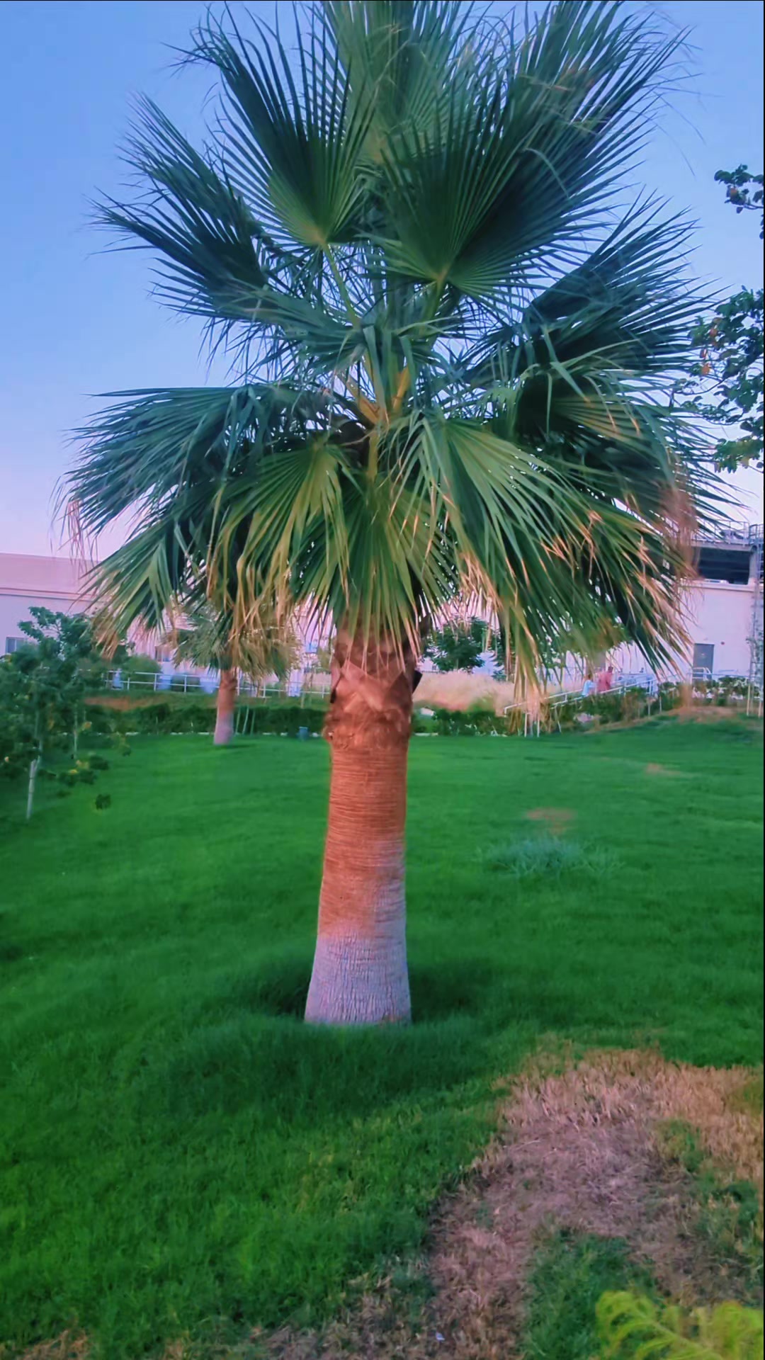 @O  W  A  J  I  B 🇸🇦