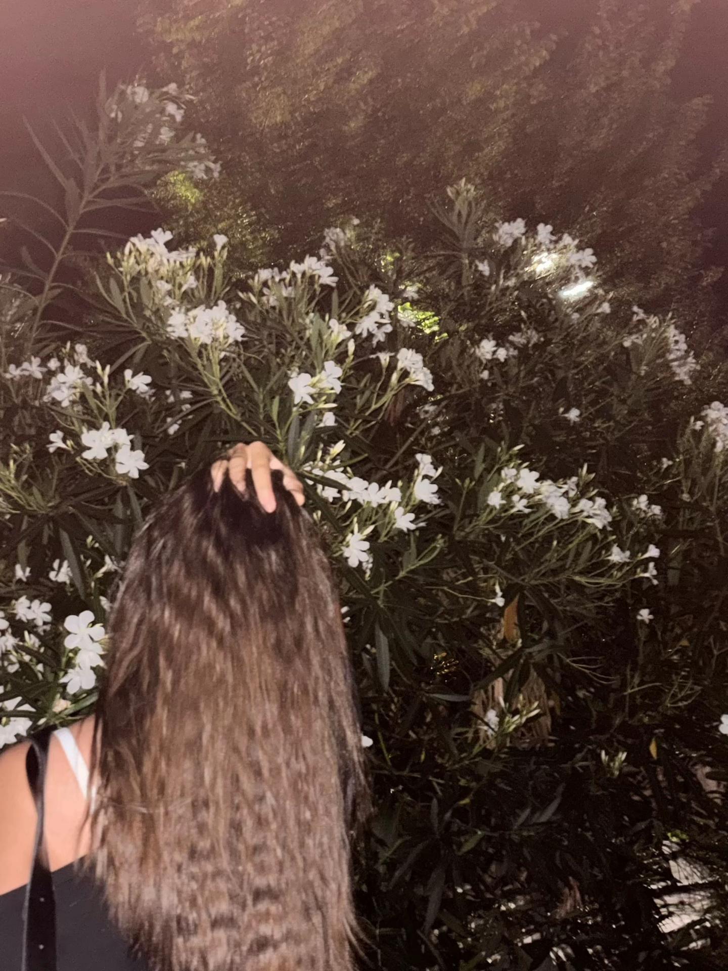 @𝓼𝓱𝓮𝓼𝓽𝓼𝓴𝓸𝓿𝓪.𝓛⚜️