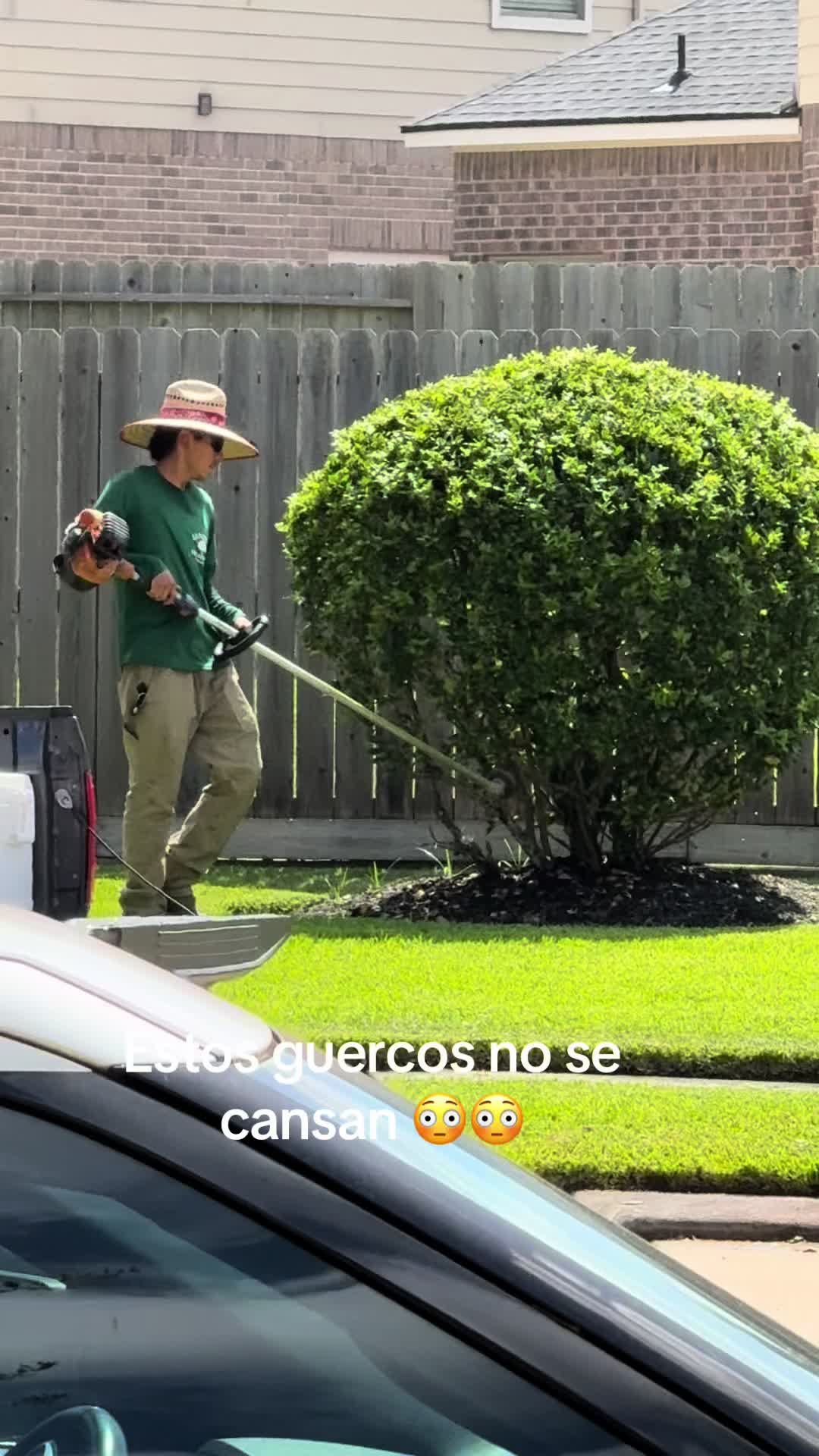 @alfredo sanchez