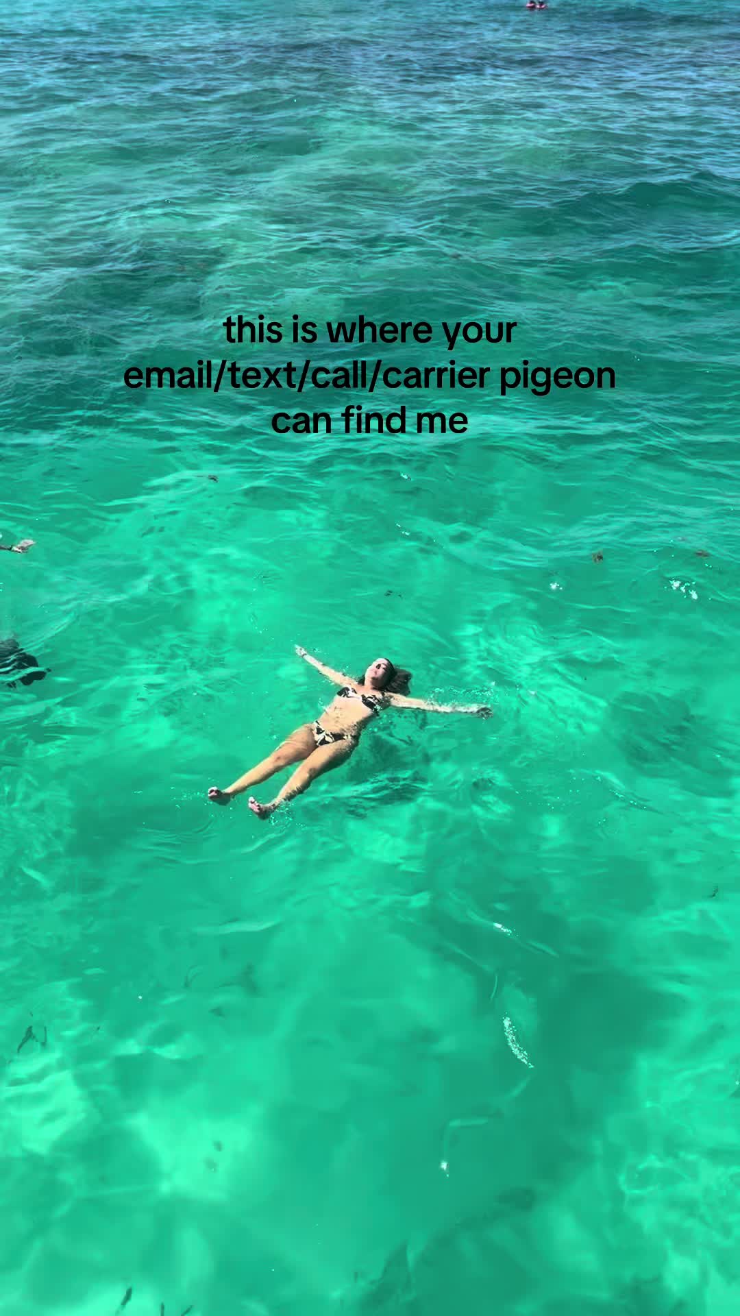 @amanda 🌶️🧸🍒