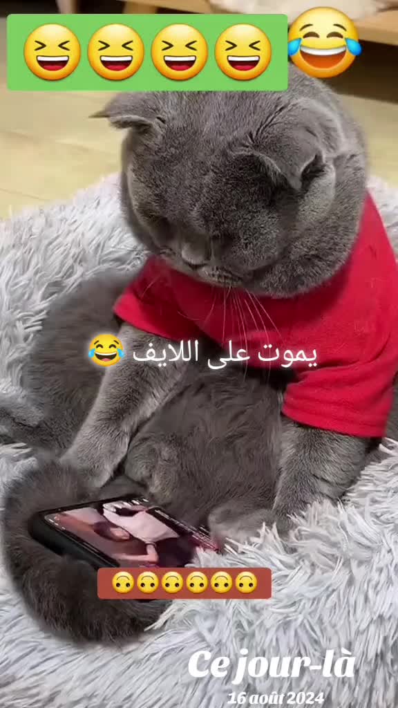 @@leila. ليلى