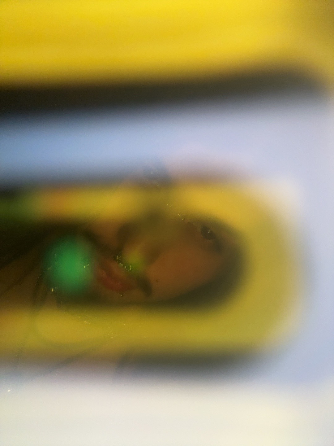 @𝐘𝐨𝐮𝐫 𝐟𝐚𝐯 𝐯𝐚𝐦𝐩☽
