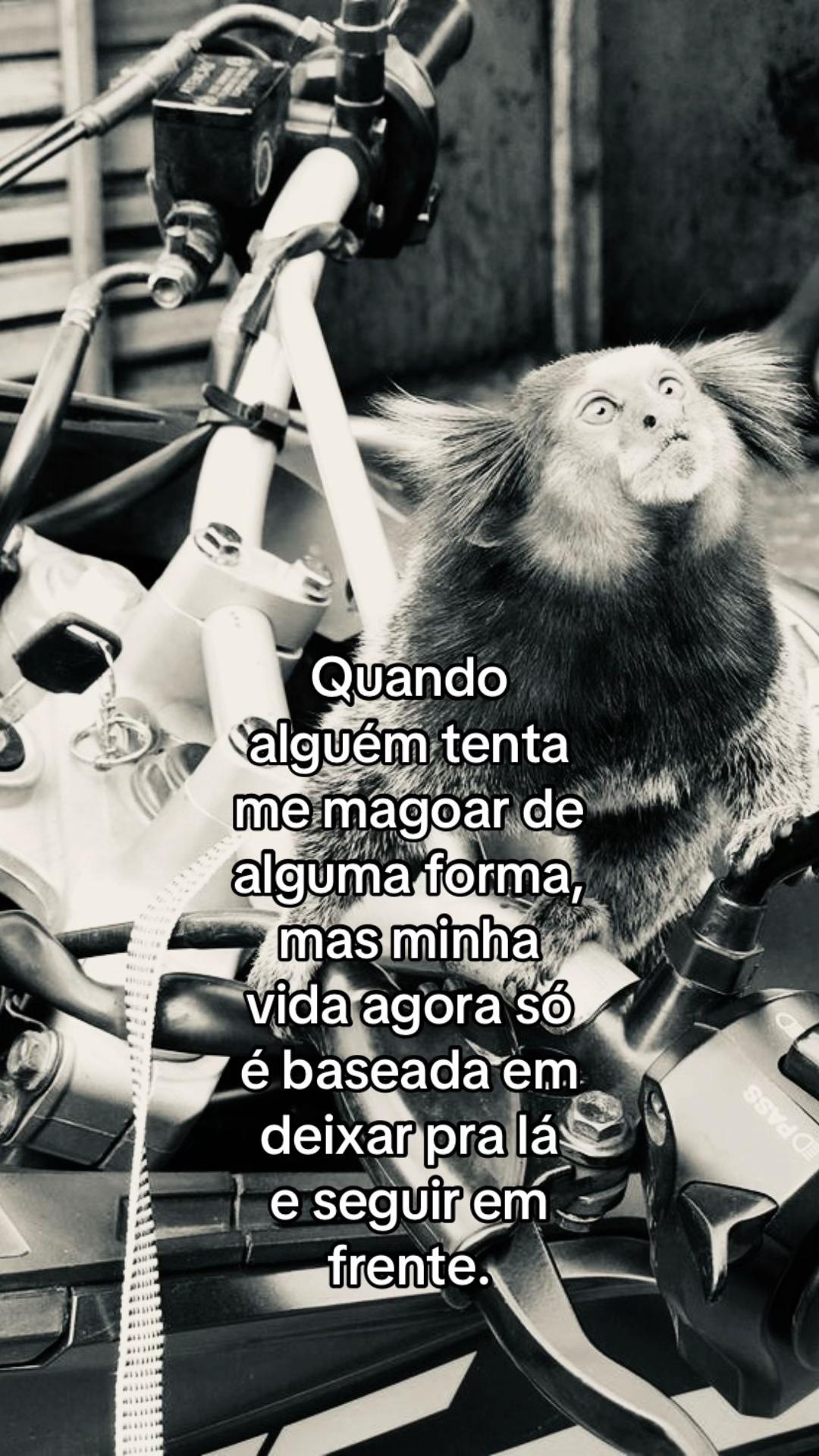 @junin 