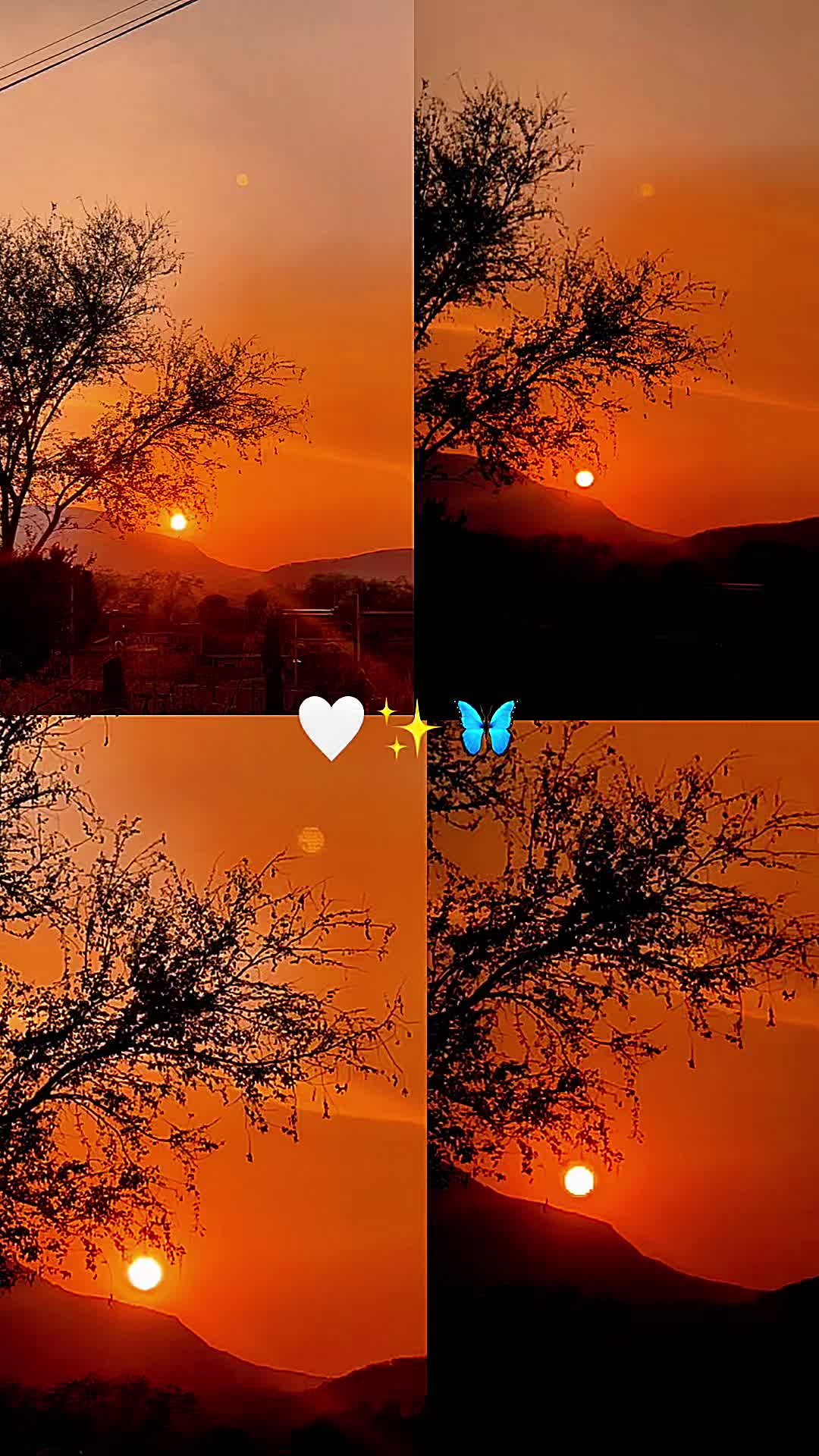 @@chaparrita🥰