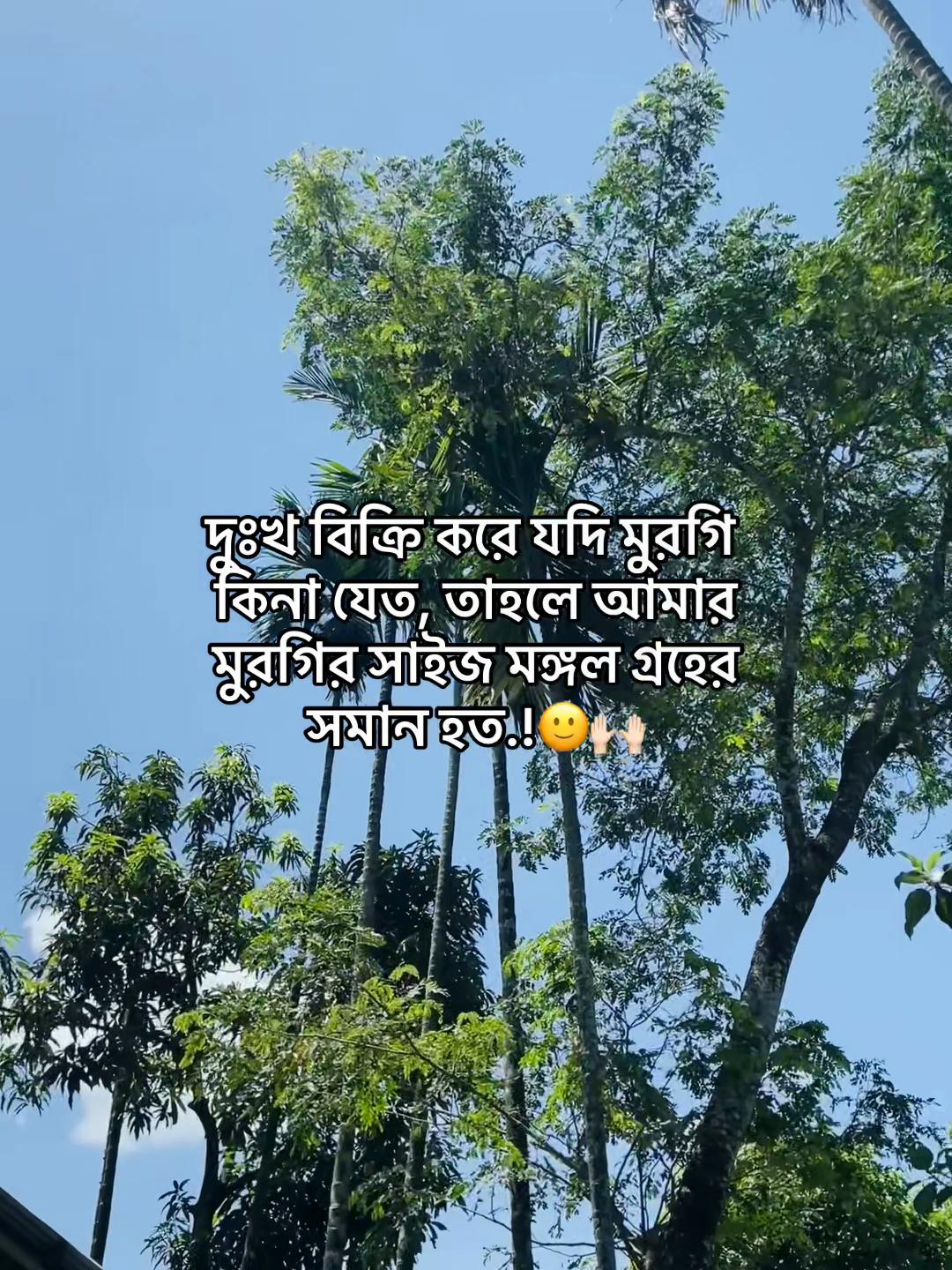 @টিক-টিকি