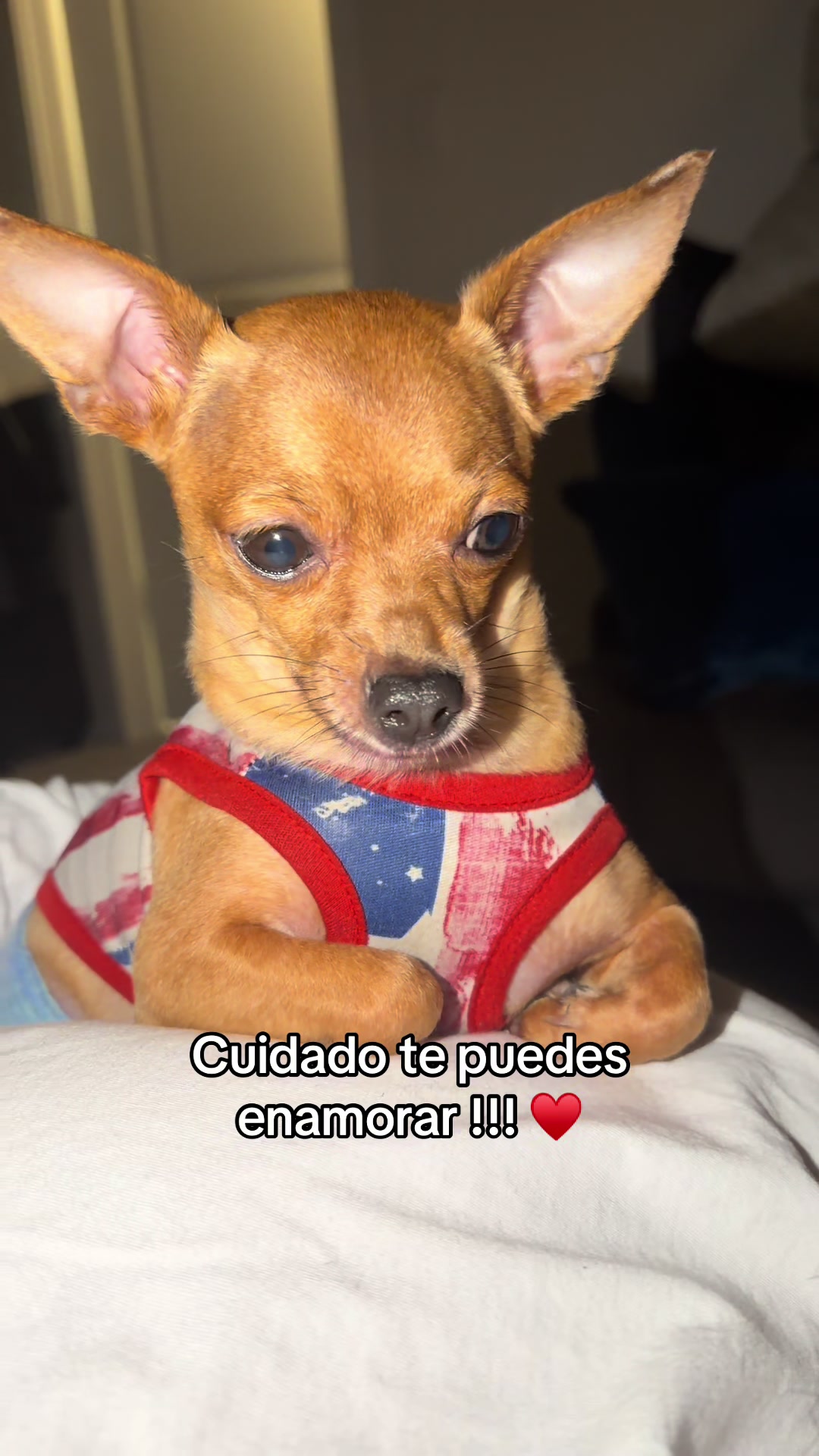 @Gloria Hernandez