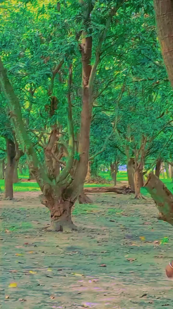 @👑Ꭹᴀᴅᴀꪜ &nbsp;ᥫ᭡