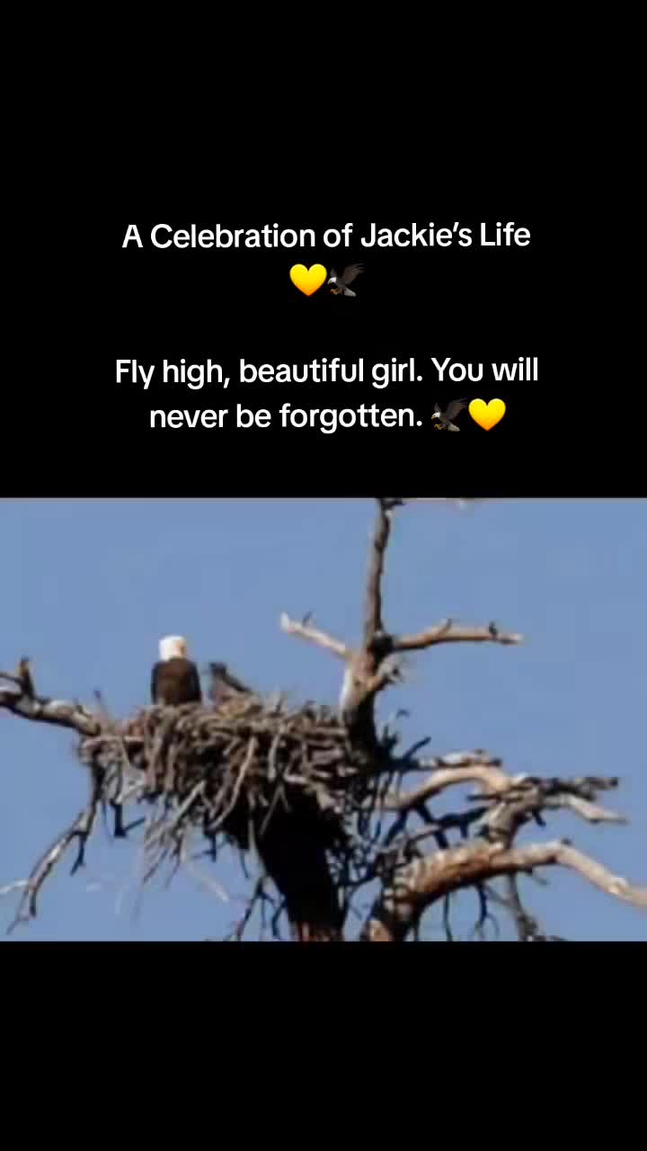 @Bri._.All