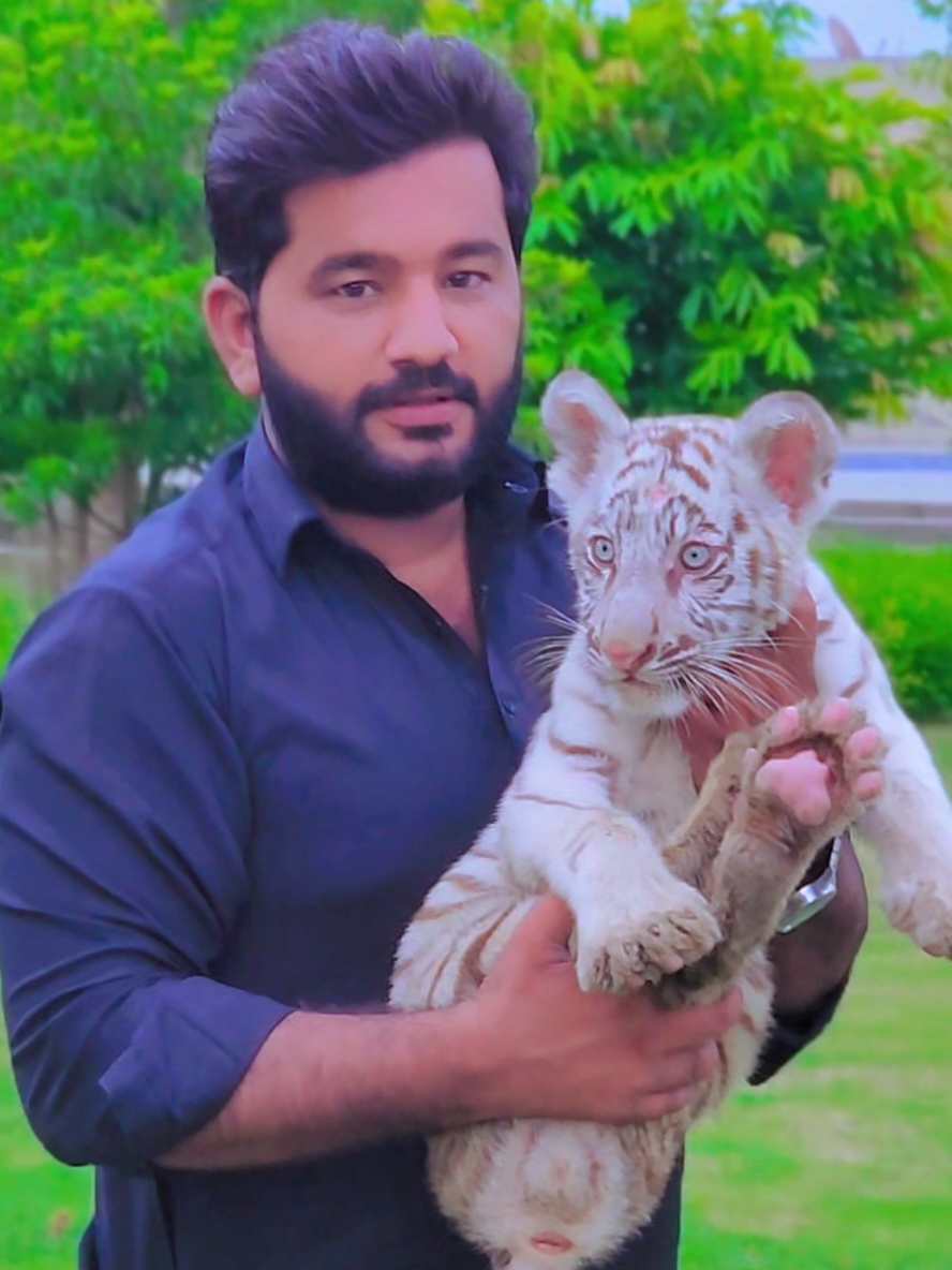 @RehAn