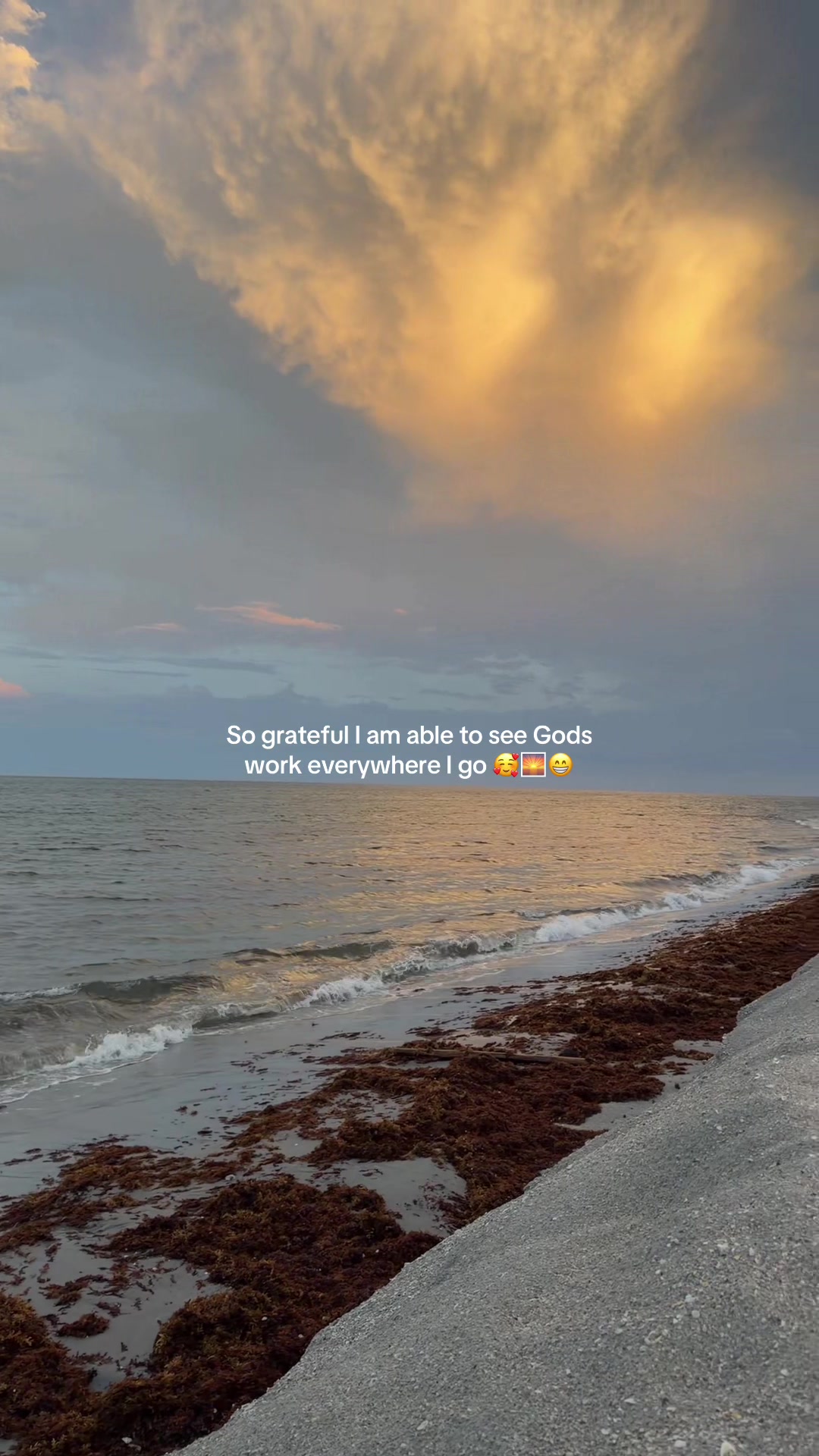 @anna.fumo