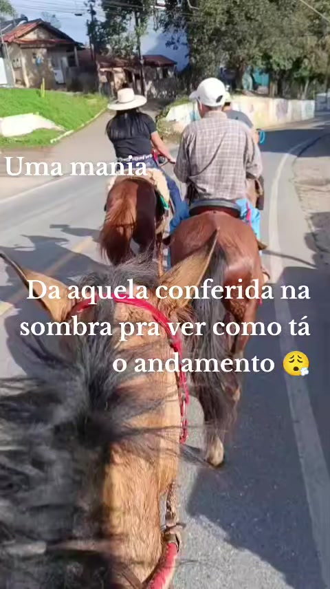 @Bruna_ofcc
