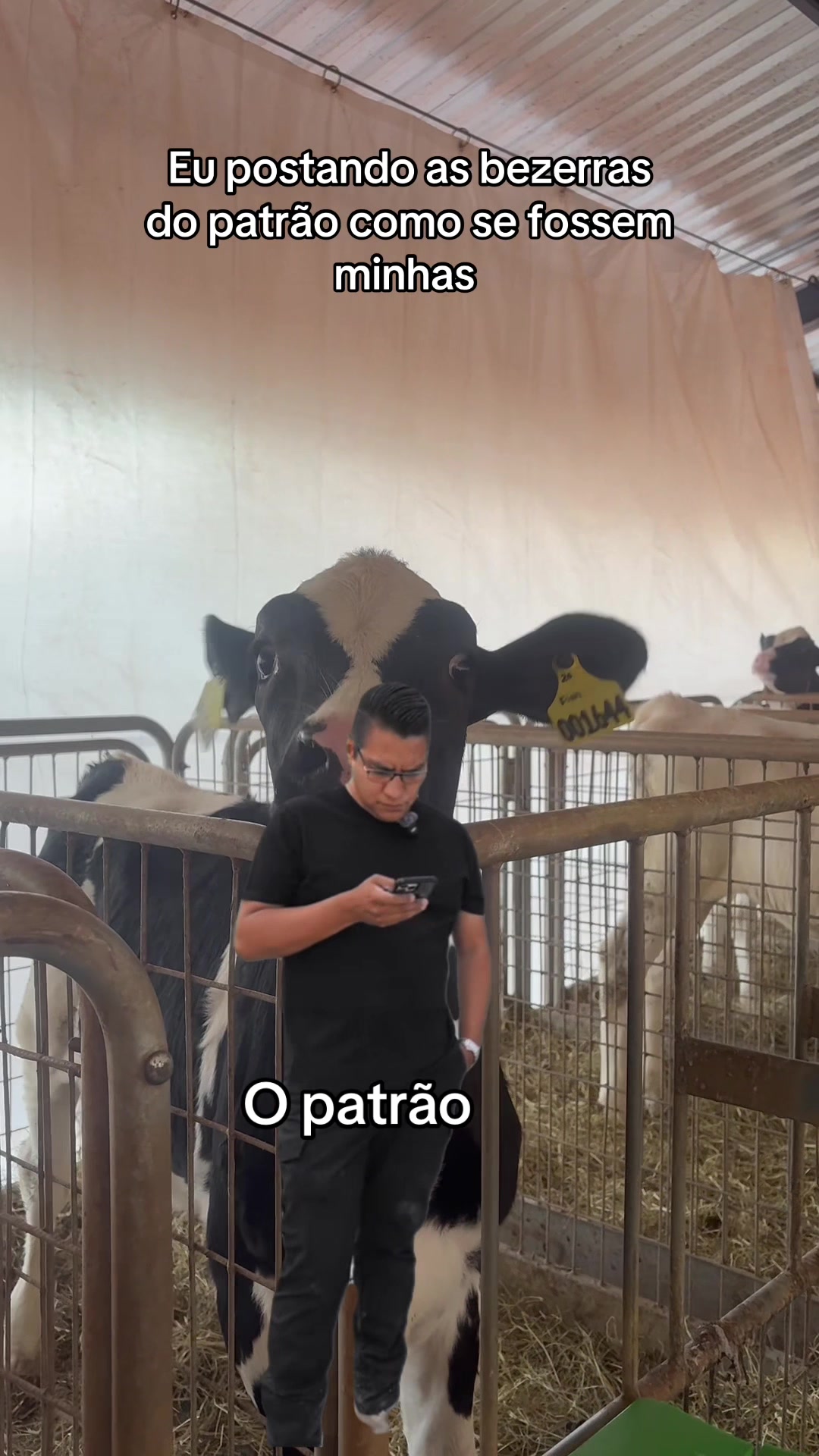 @Laura Rodrigues
