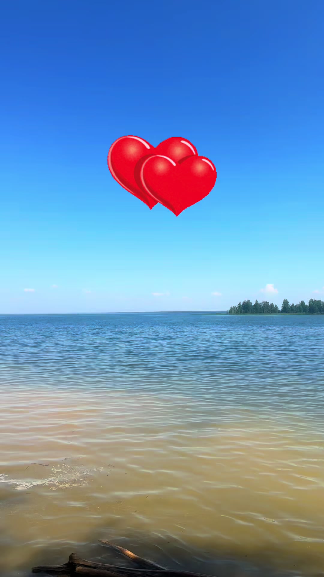 @&hearts;️Tanchik&hearts;️