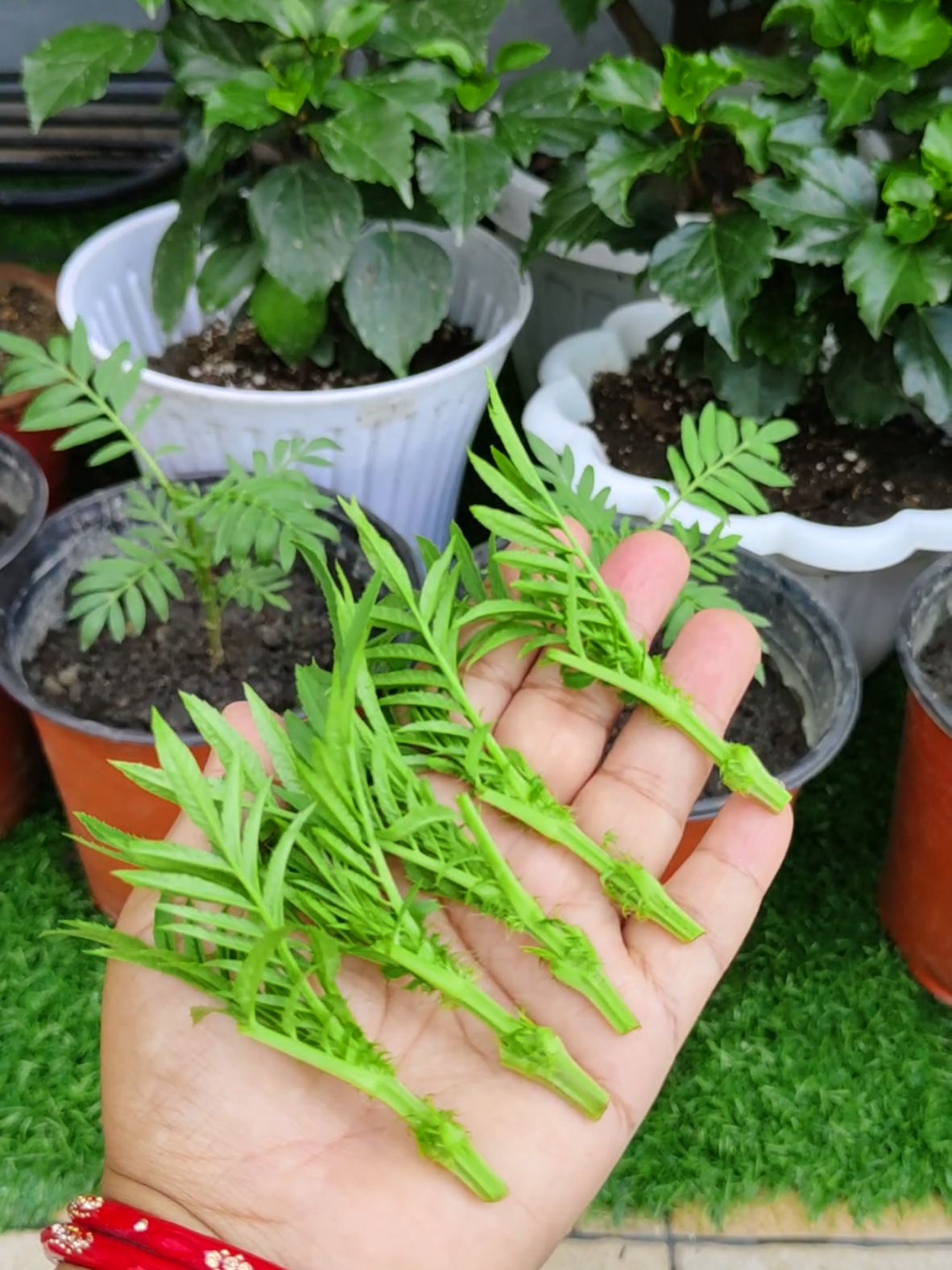@poonam_shah 🧿🍀