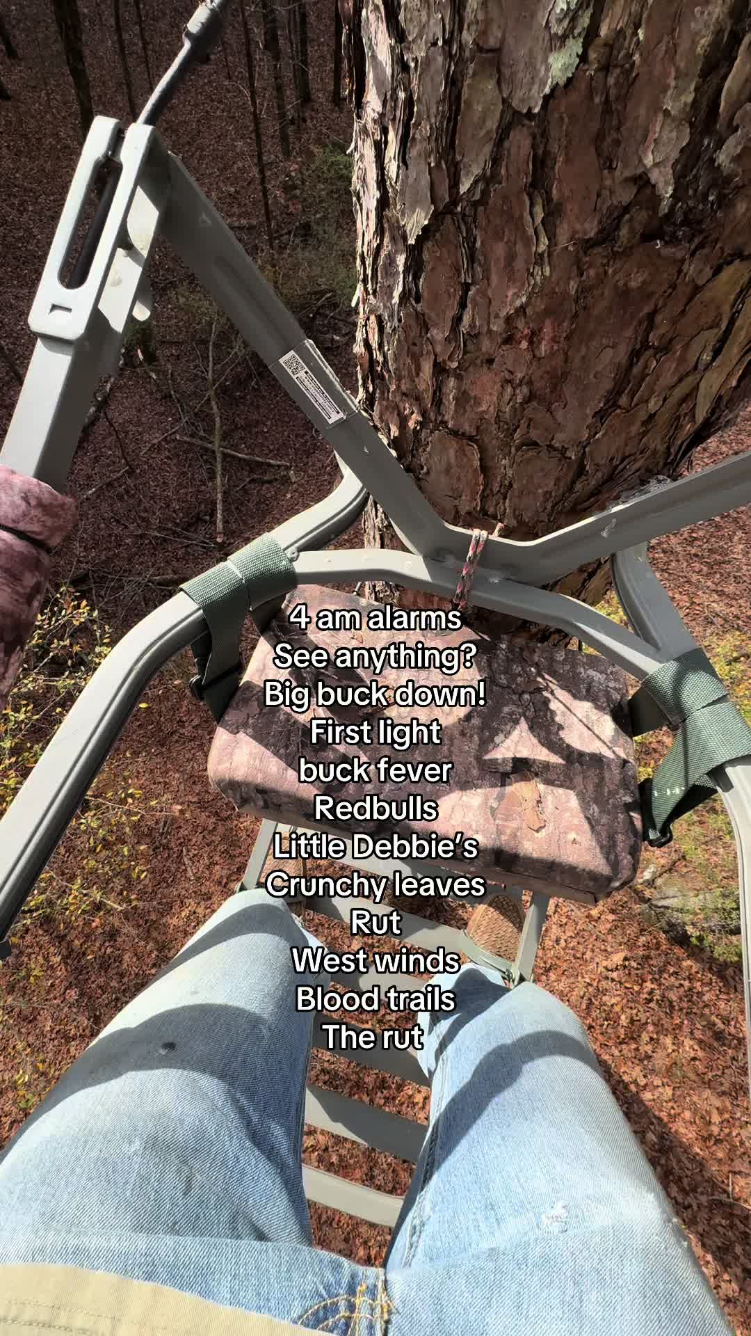 @𝓚𝓪𝓭𝓮 5.9