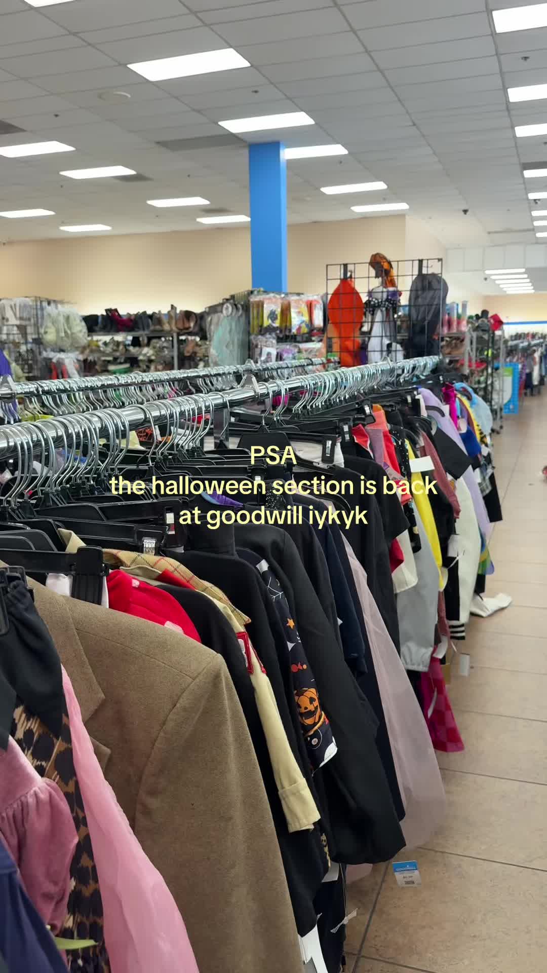 @michaela gadawski