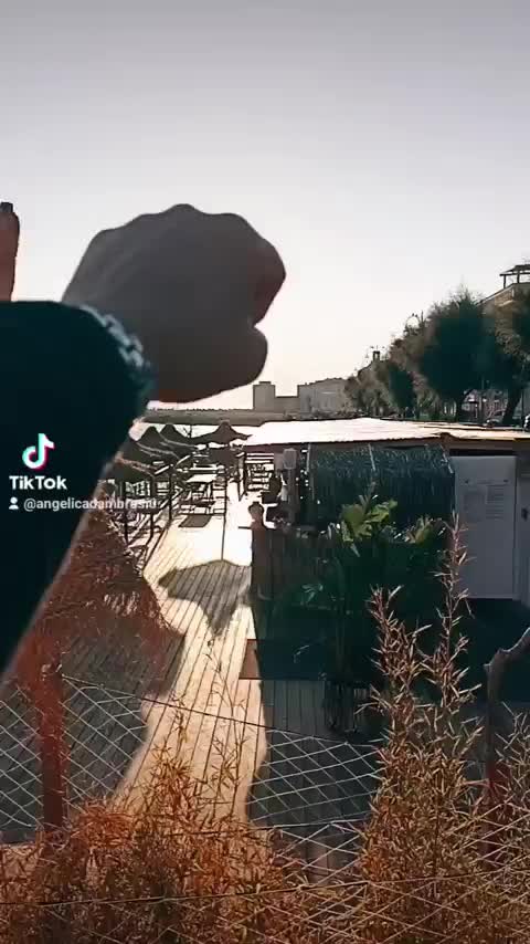 @Angelica D' Ambrosio